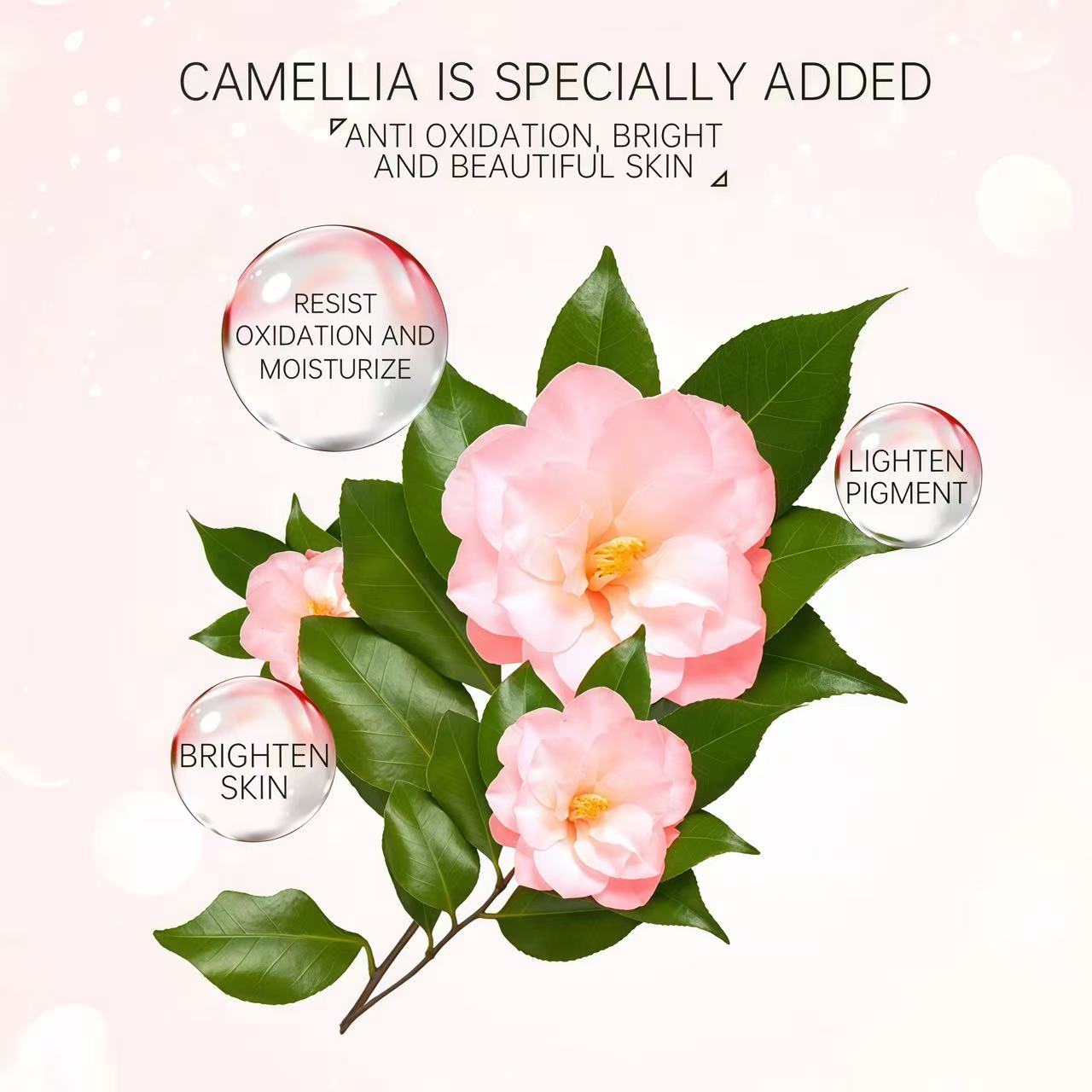 Camellia Hydrating Repair Mask - Image 4